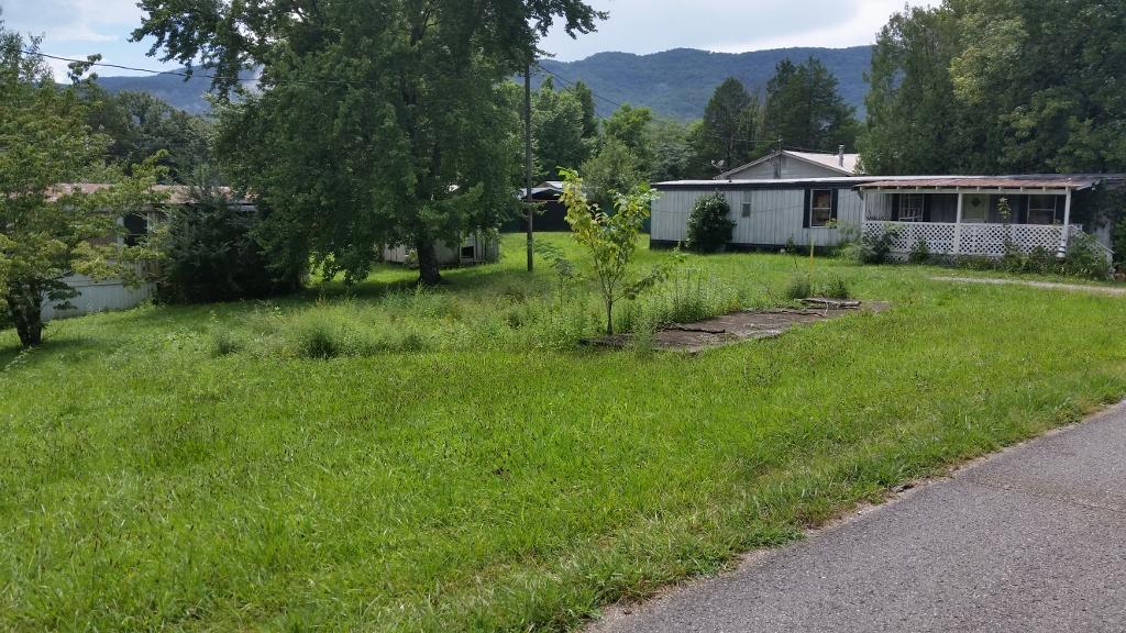 191 Jackson Road Caryville, TN 37714 - Photo 9 of 10 cat1car-Jackson Rd $19,900 (9) (1024x576