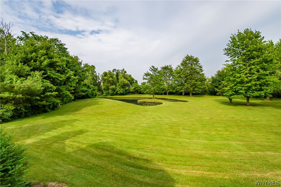 7155 Combs Drive Eden, NY 14075 - Photo 34 of 36 Heart-shaped pond