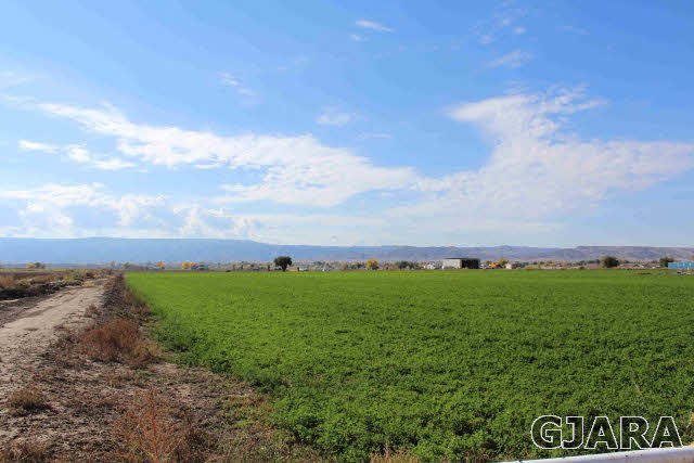 1339 Q Road Loma, CO 81524 - Photo 1 of 9 a view of a field with a street