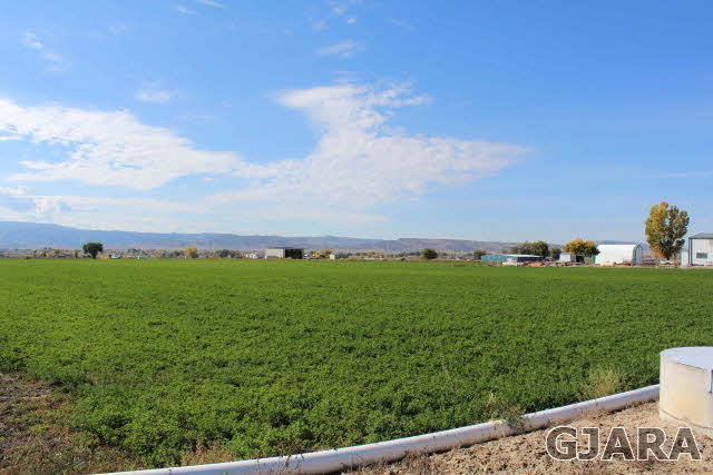 1339 Q Road Loma, CO 81524 - Photo 2 of 9 a view of a field with an trees in the background