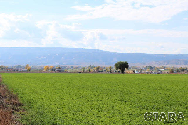 1339 Q Road Loma, CO 81524 - Photo 3 of 9 an aerial view of a field of big and mountain