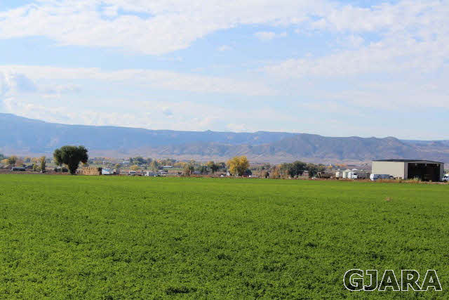 1339 Q Road Loma, CO 81524 - Photo 4 of 9 a view of a lush green field with mountains in the background