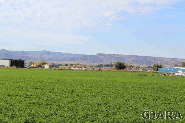1339 Q Road Loma, CO 81524 - Photo 5 of 9 a view of a lush green field with mountains in the background