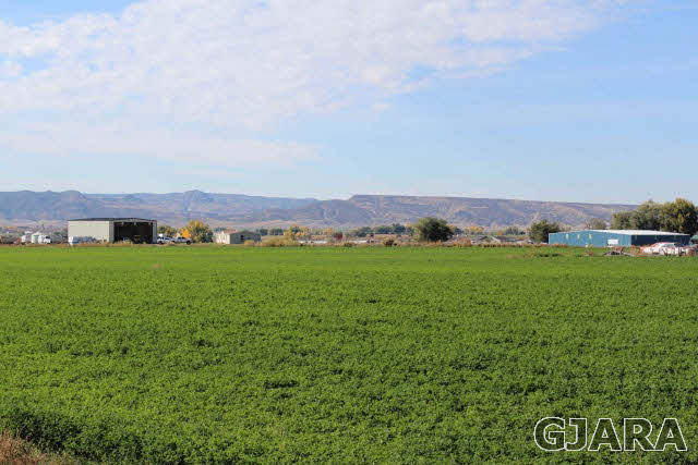 1339 Q Road Loma, CO 81524 - Photo 8 of 9 a view of an house with a yard