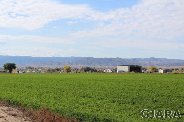 1339 Q Road Loma, CO 81524 - Photo 9 of 9 a view of grassy field with mountain