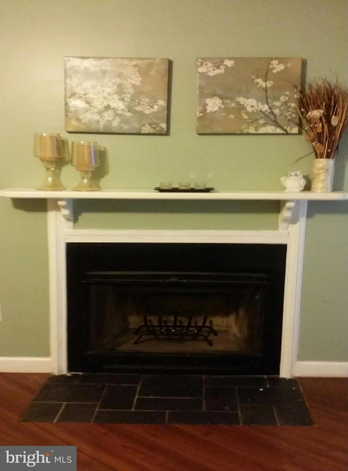 8526 Stonewall Road Manassas, VA 20110 - Photo 5 of 13 Fireplace