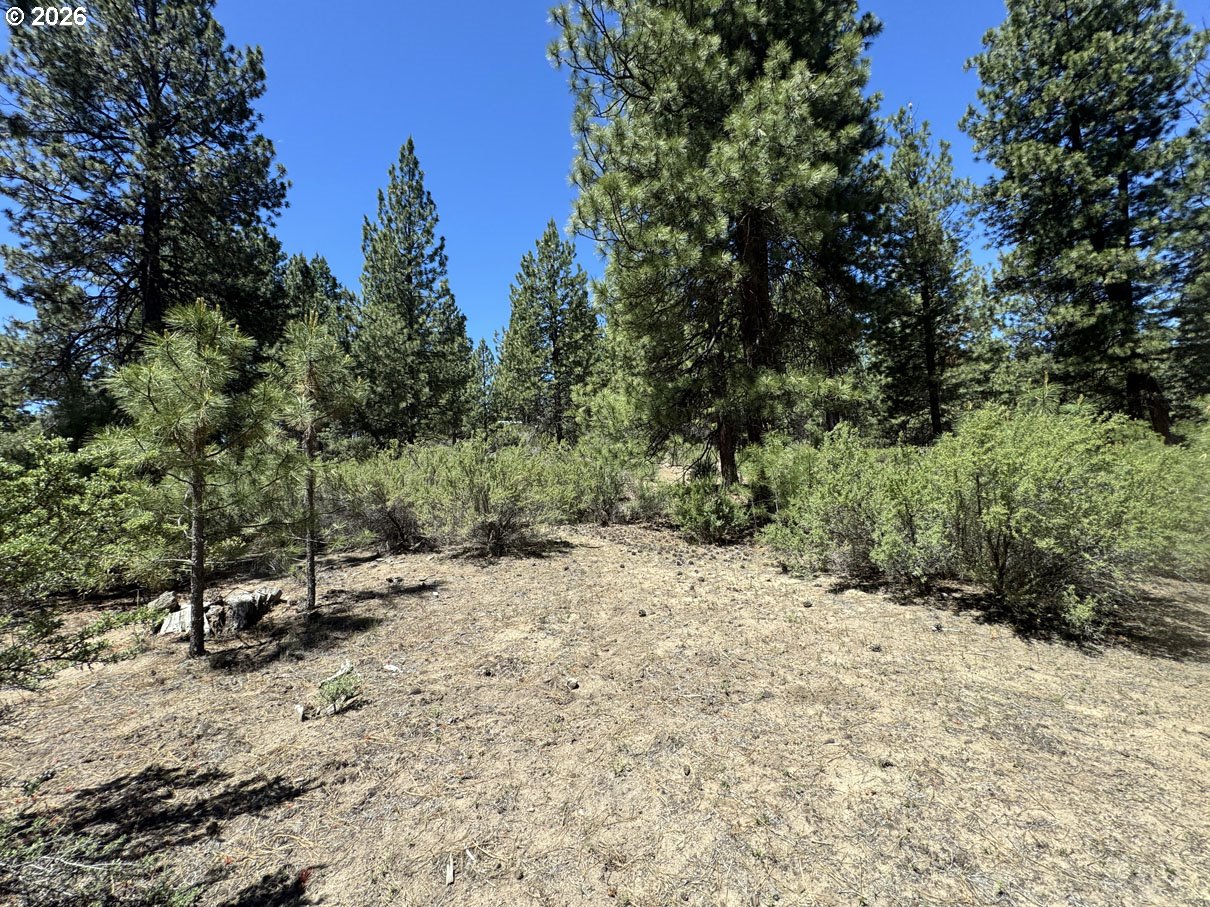 Friendship Drive, Unit 15 Chiloquin, OR 97624 - Photo 38 of 41