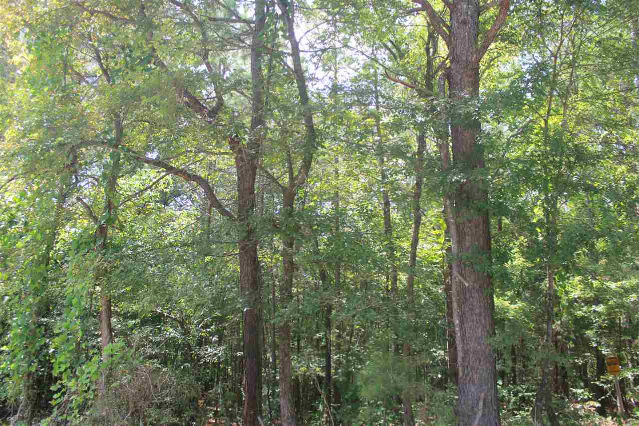 1 Valentine Road Holly Springs, MS 38635 - Photo 11 of 15 Gallery Image 11