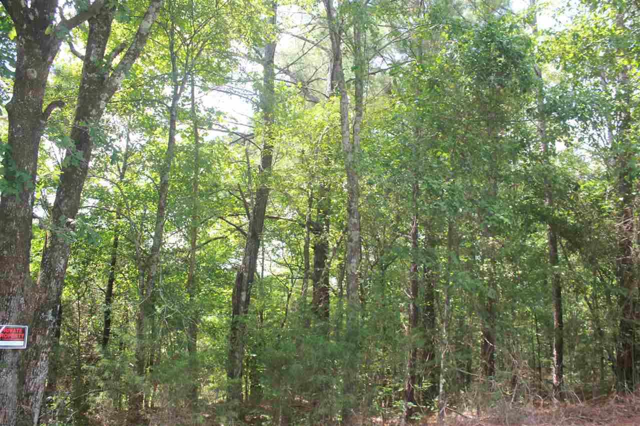 1 Valentine Road Holly Springs, MS 38635 - Photo 9 of 15 Gallery Image 9