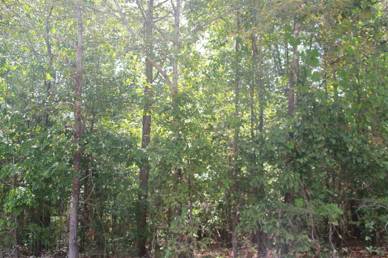 1 Valentine Road Holly Springs, MS 38635 - Photo 10 of 15 Gallery Image 10