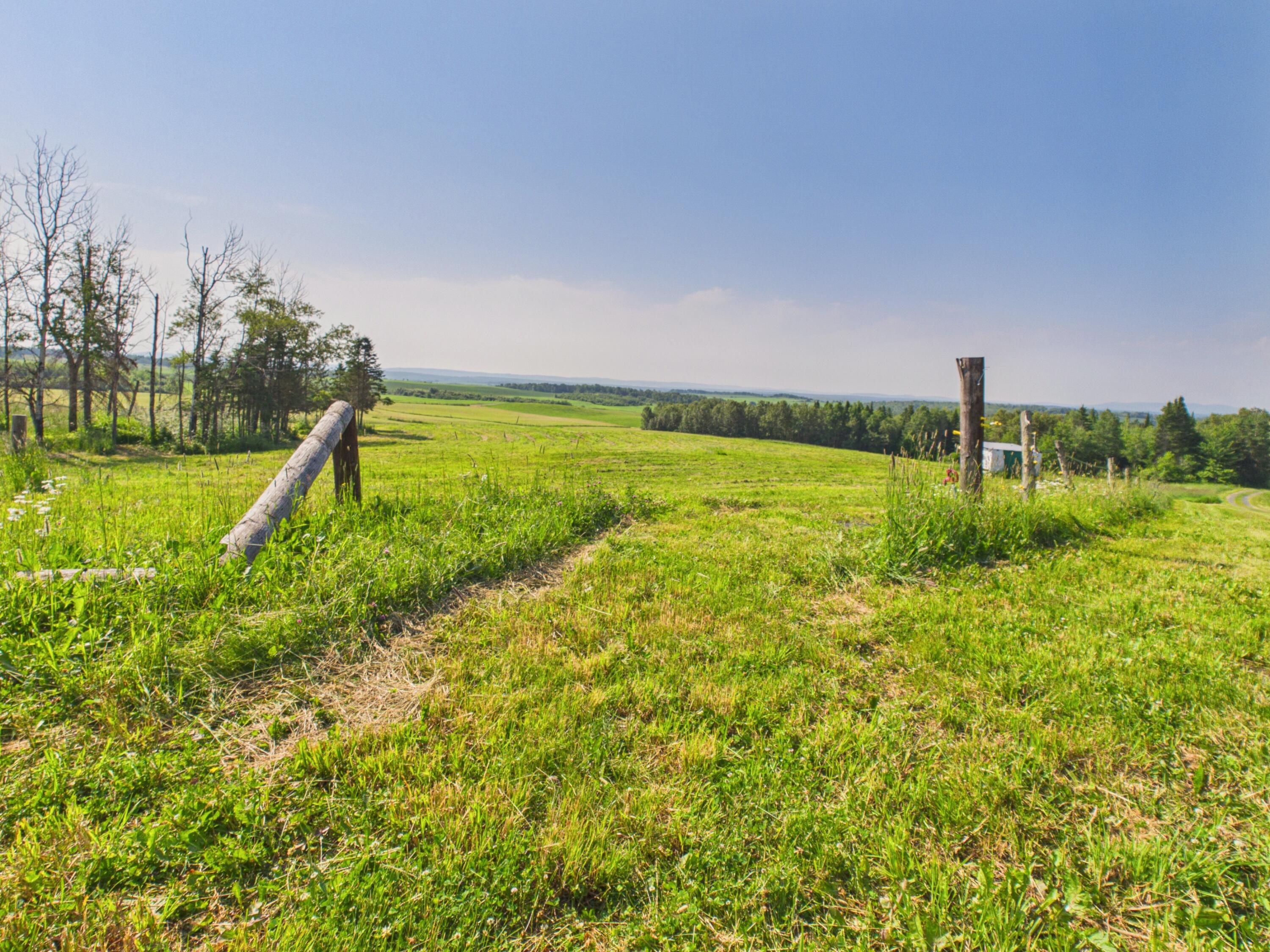 168 B Bouchard Road St. Agatha, ME 04772 - Photo 93 of 134 168 Bouchard Rd