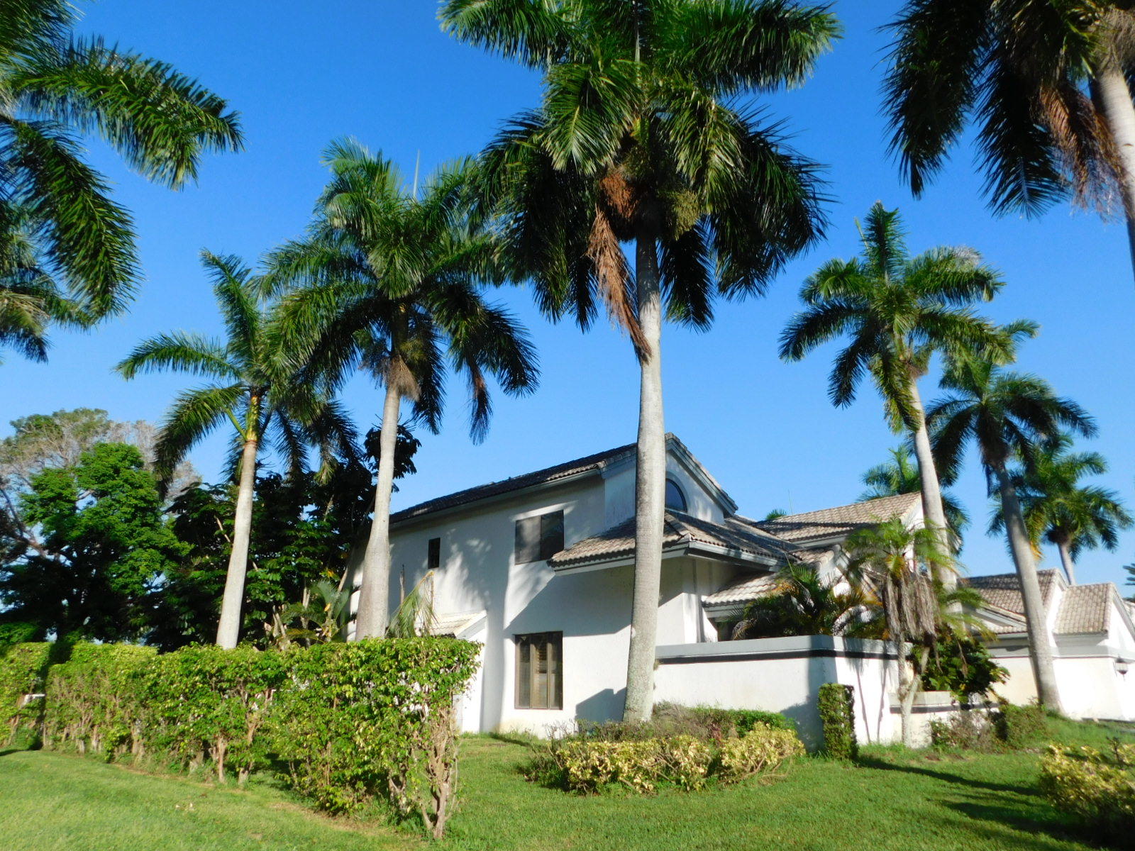 7359 Ballantrae Court Boca Raton, FL 33496 - Photo 10 of 12 DSCN1151