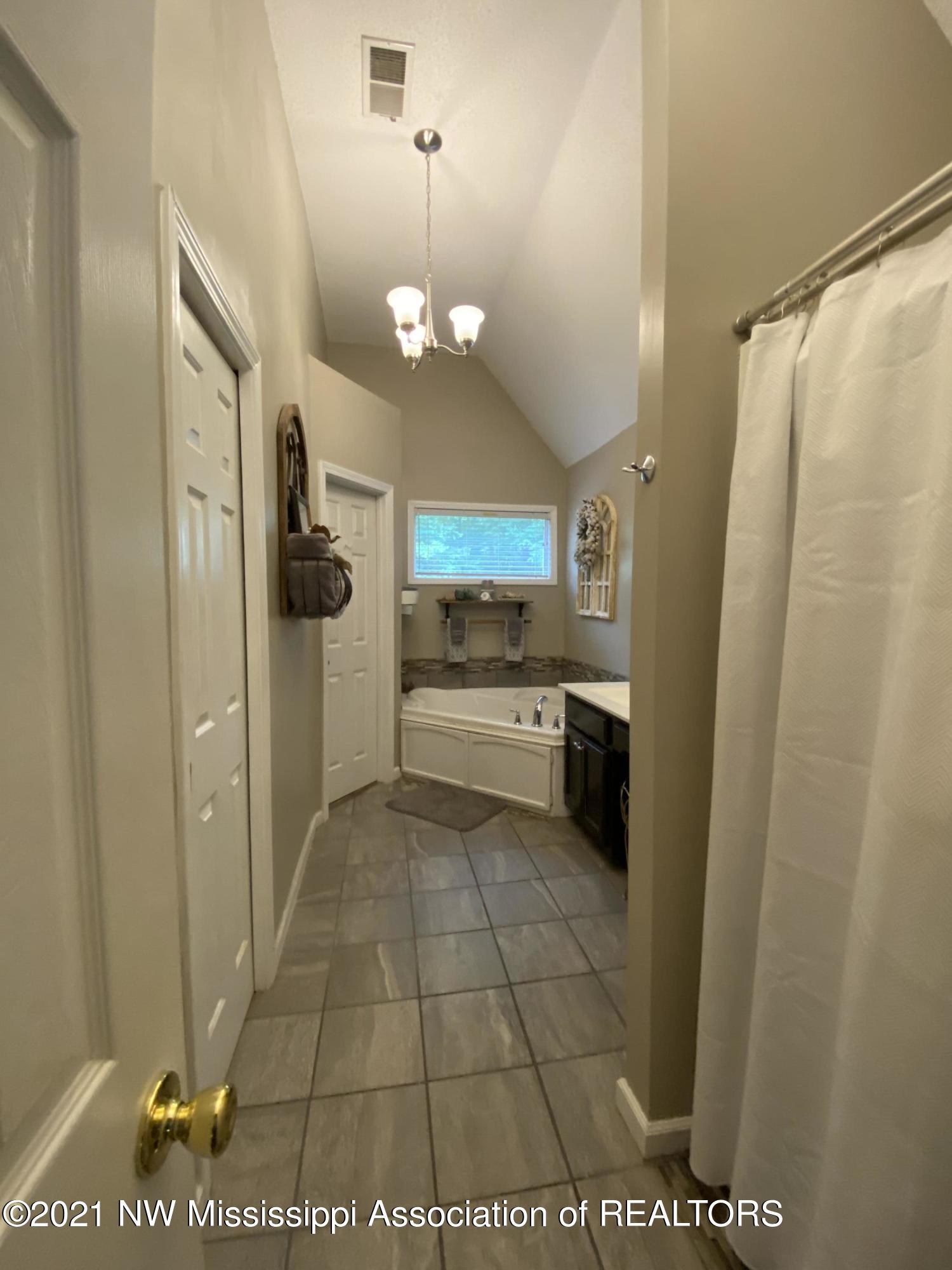 4547 Bienville Road Nesbit, MS 38651 - Photo 12 of 21 Master Bath