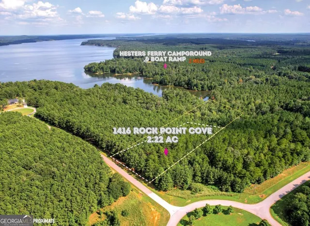 a view of a garden with an outdoor space