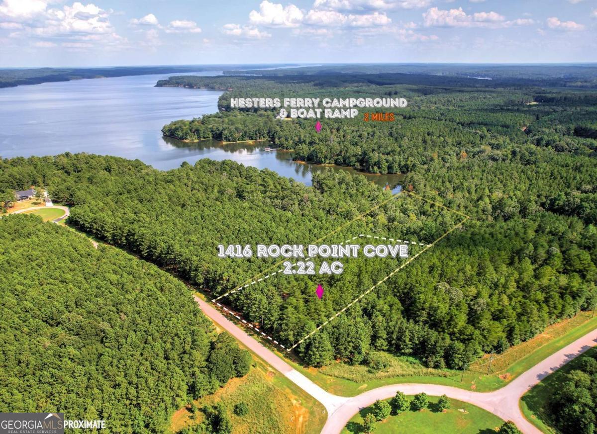 a view of a garden with an outdoor space