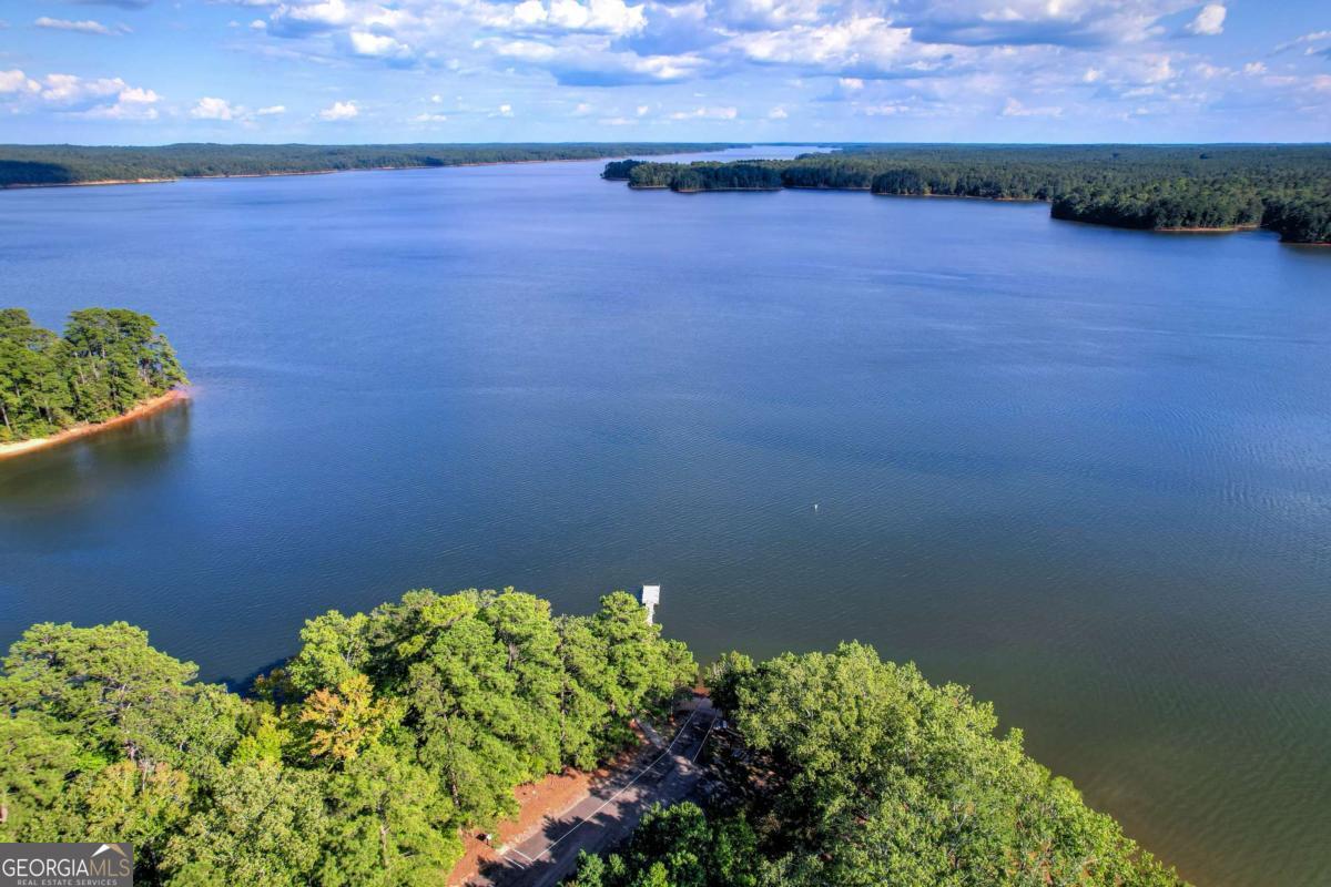 1416 Rock Point Cove Tignall, GA 30668 - Photo 14 of 16 a view of a lake