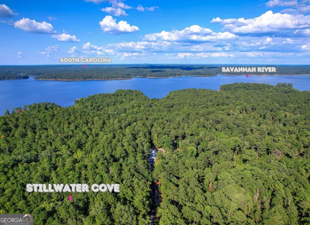 1416 Rock Point Cove Tignall, GA 30668 - Photo 15 of 16 a view of a lake in the middle of a lake