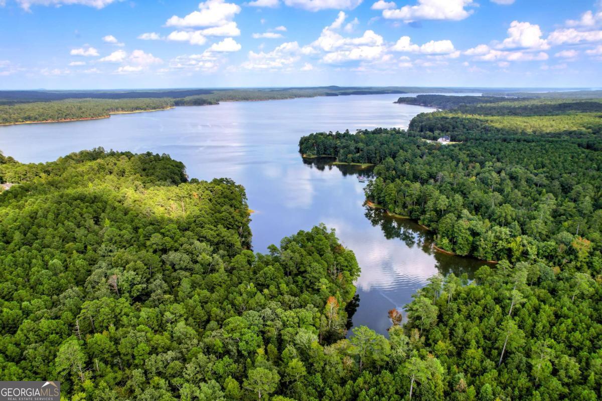 1416 Rock Point Cove Tignall, GA 30668 - Photo 2 of 16 a view of a lake in a field