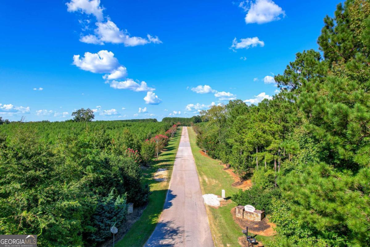1416 Rock Point Cove Tignall, GA 30668 - Photo 5 of 16 a view of a yard with plants