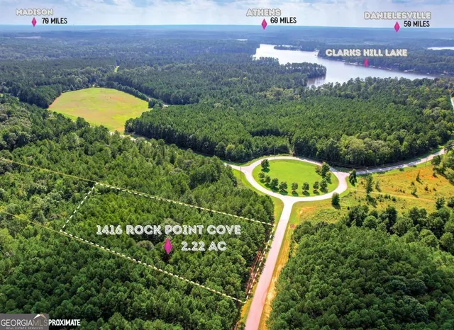 a view of a swimming pool with a yard and plants