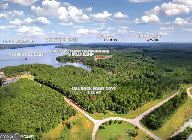 a view of a swimming pool with a yard and plants in the back yard