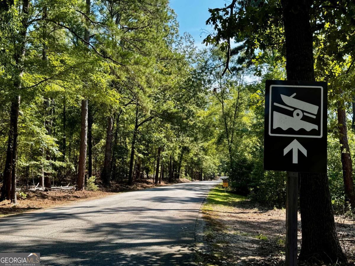 1416 Rock Point Cove Tignall, GA 30668 - Photo 10 of 16 a view of street with trees
