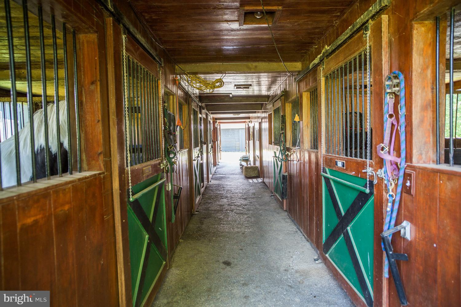 38138 Forest Mills Road Leesburg, VA 20175 - Photo 23 of 30 Barn with plenty of room