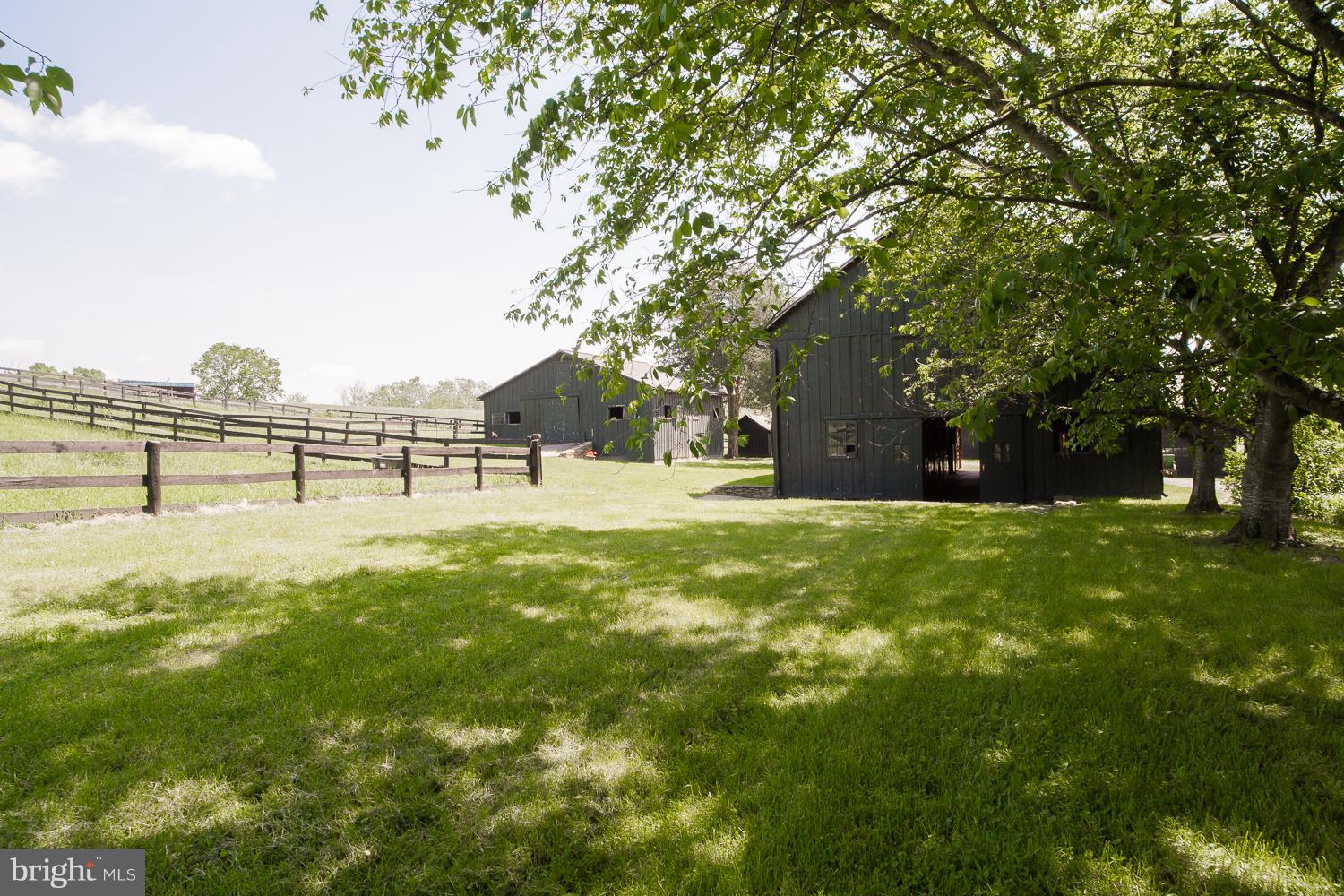 38138 Forest Mills Road Leesburg, VA 20175 - Photo 25 of 30 Barns and paddocks