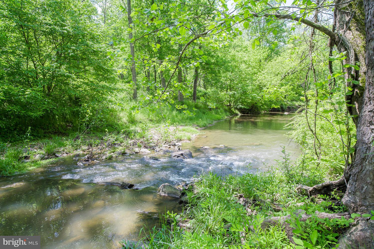 38138 Forest Mills Road Leesburg, VA 20175 - Photo 29 of 30 Crooked Run Creek runs by log cabin