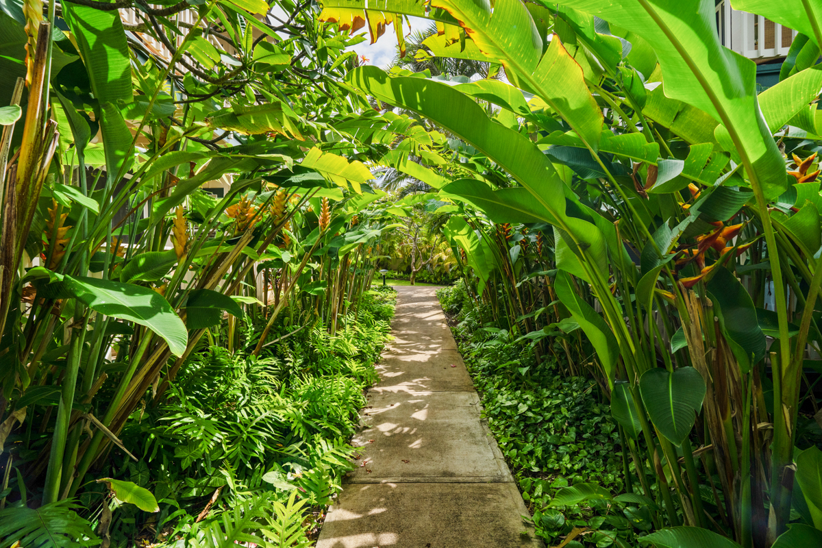 1831 Poipu Road, Unit 720 Koloa, HI 96756 - Photo 29 of 29