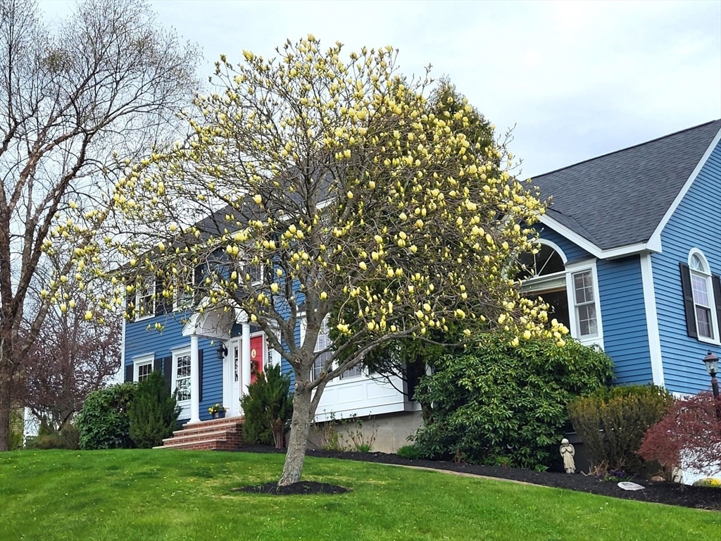 15 Mansfield Road Middleton, MA 01949 - Photo 2 of 42 front view of a house with a yard