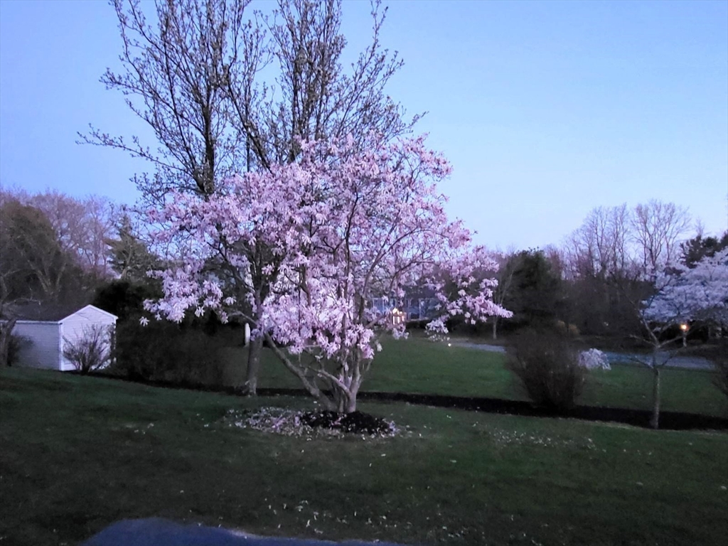 15 Mansfield Road Middleton, MA 01949 - Photo 41 of 42 a backyard of a house with lots of green space