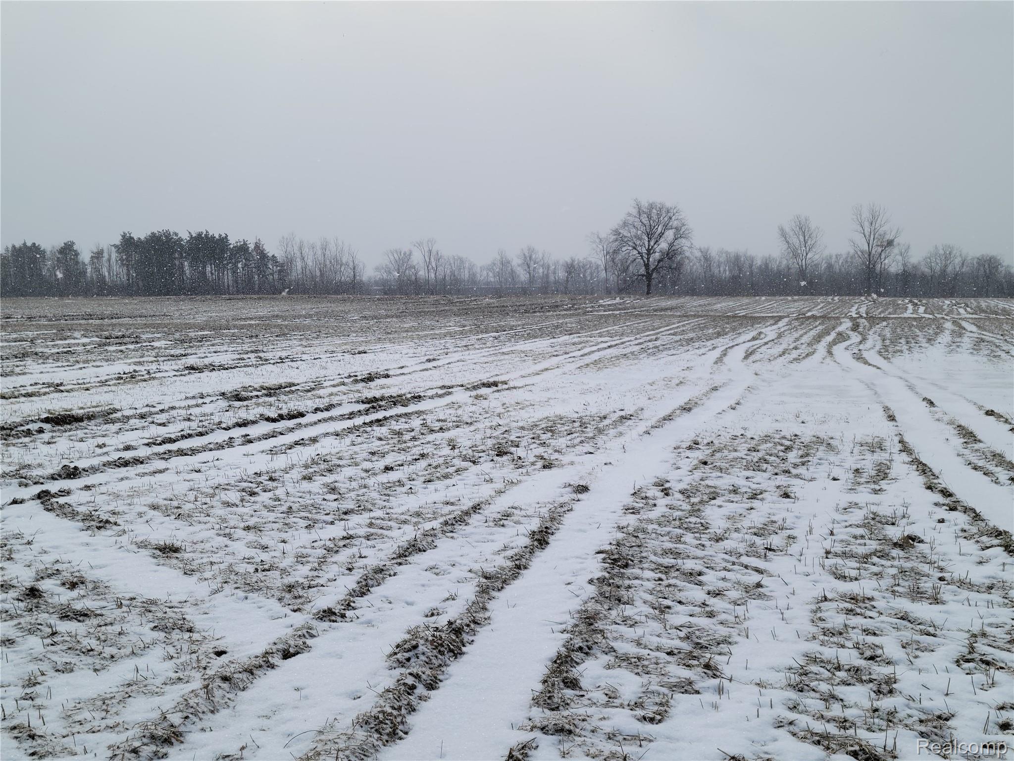 3231 West Ray Road Fenton, MI 48430 - Photo 11 of 35 Farmland