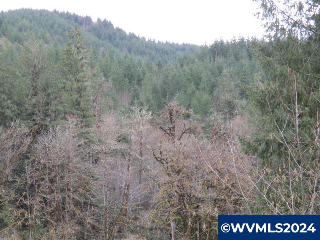 0 Rocky Top Road Sweet Home, OR 97386 - Photo 5 of 14