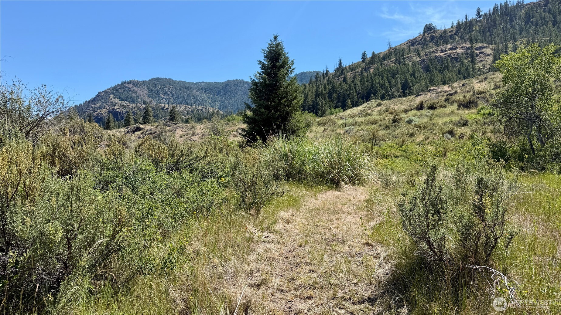 2 X Alder Road Twisp, WA 98856 - Photo 2 of 38