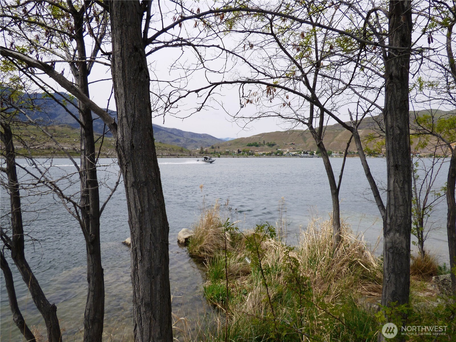 0 Bailey Way Brewster, WA 98812 - Photo 6 of 17 a view of mountain view with large trees