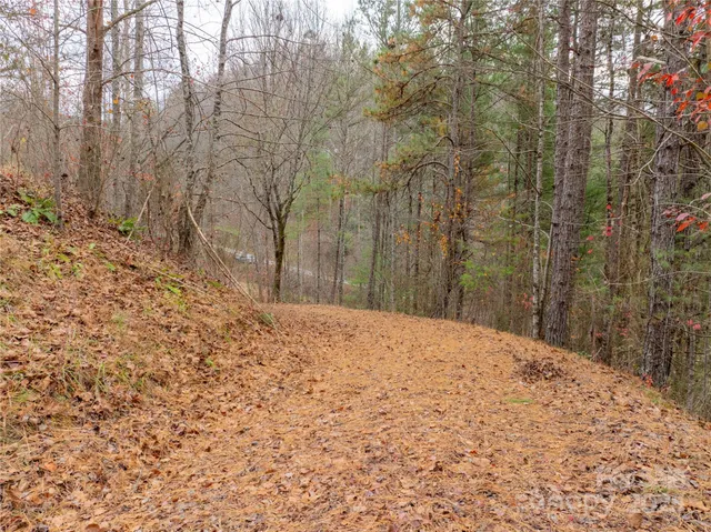 a view of a yard in front of a house