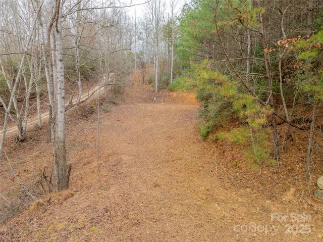 a view of a yard with trees in the background