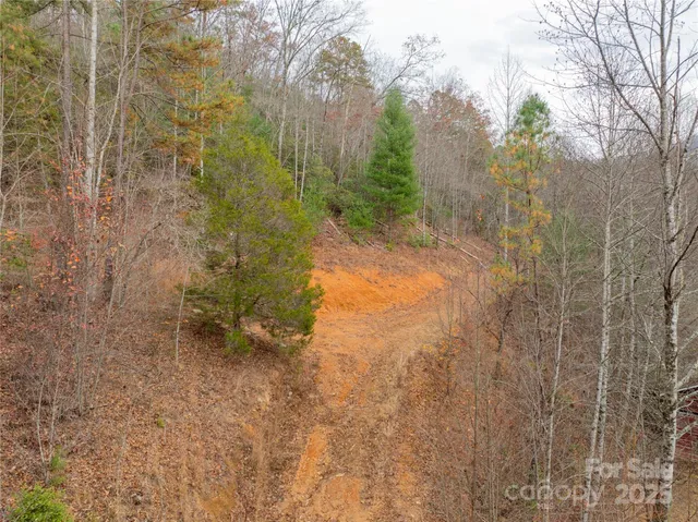 a view of a yard with a tree