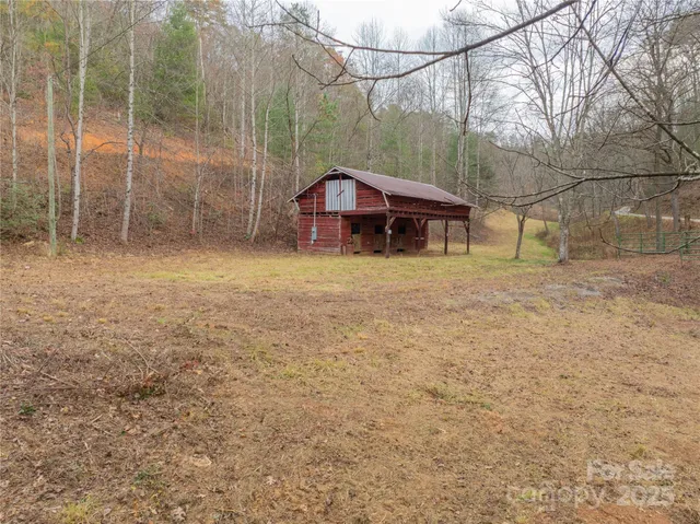 a close up of a plant in a garden