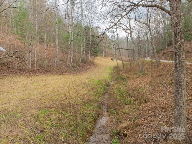 a view of mountain with trees in the background