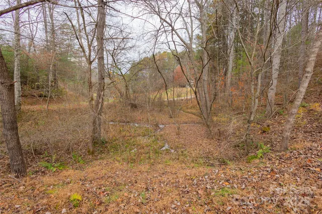 a view of wooden door