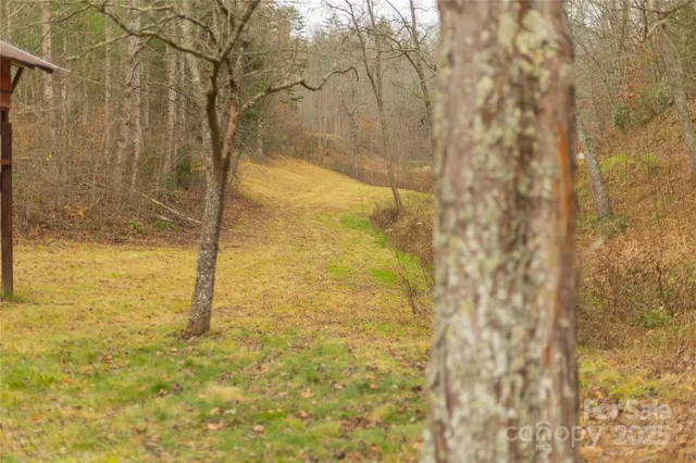 a view of a backyard of a house