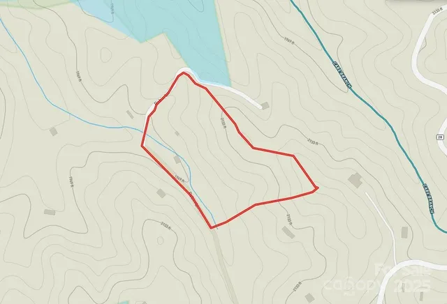 a view of a wooden floor with a plant