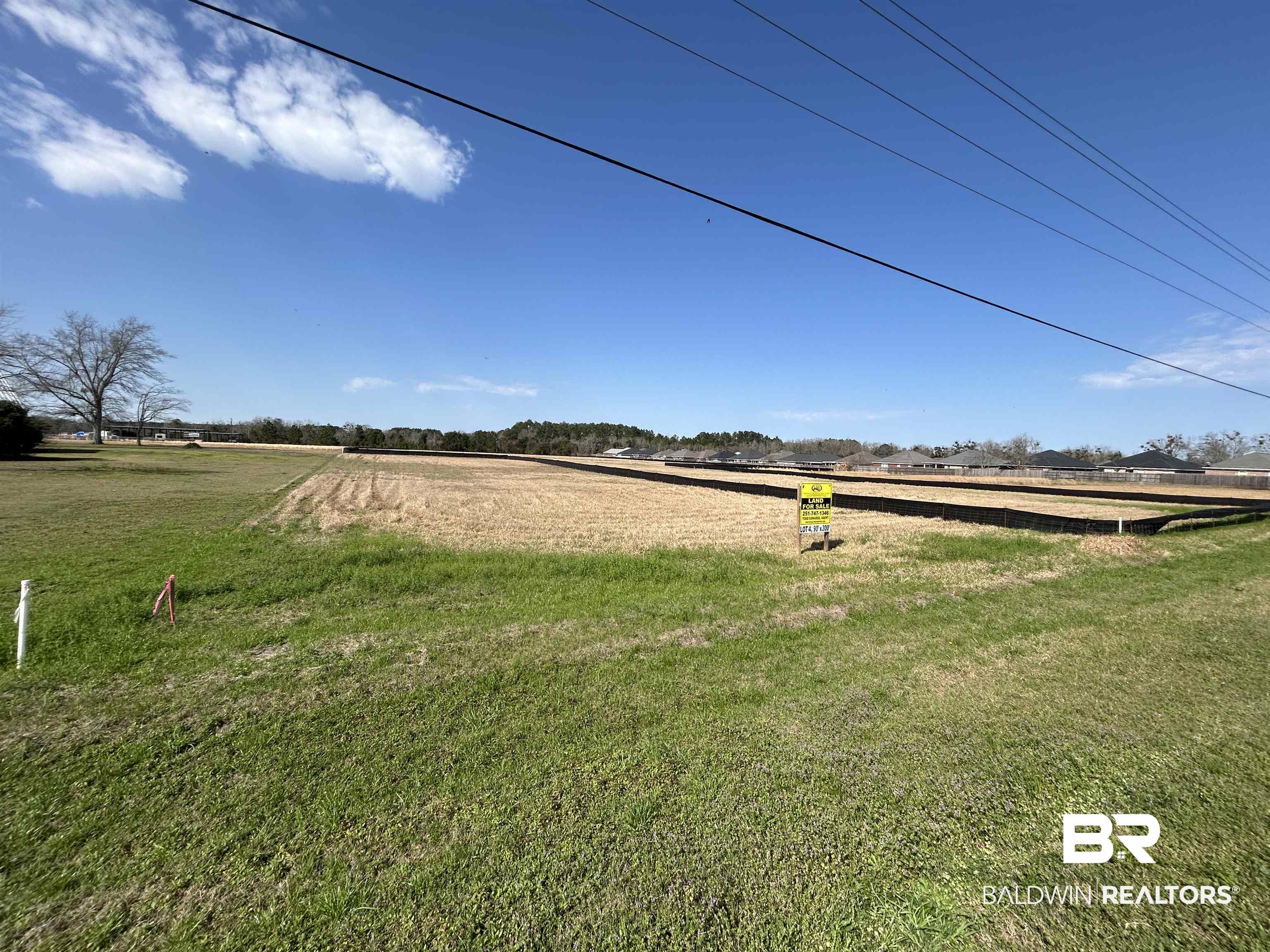 0 Hickory Street Foley, AL 36535 - Photo 3 of 4 View of yard featuring a rural view