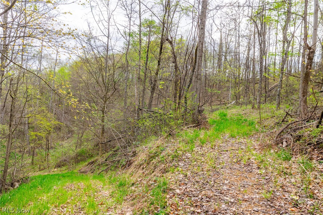 2115 Goss Fork Road, Unit 2 Whipple, OH 45788 - Photo 12 of 23
