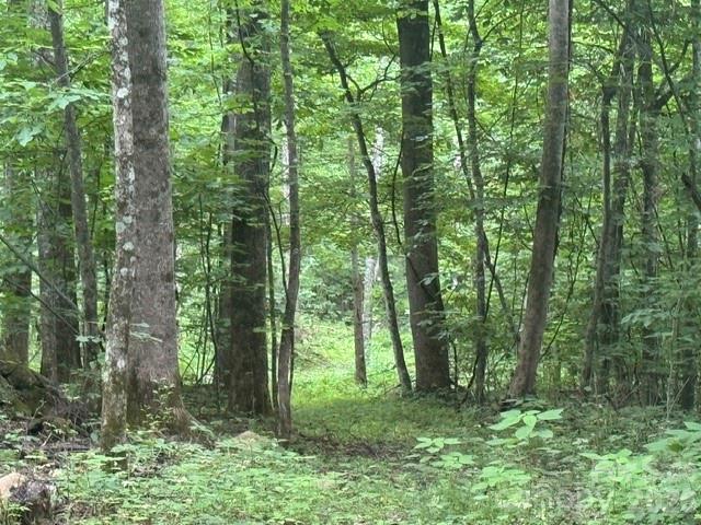 0 Sugar Lf Mountain Road Marshall, NC 28753 - Photo 1 of 5
