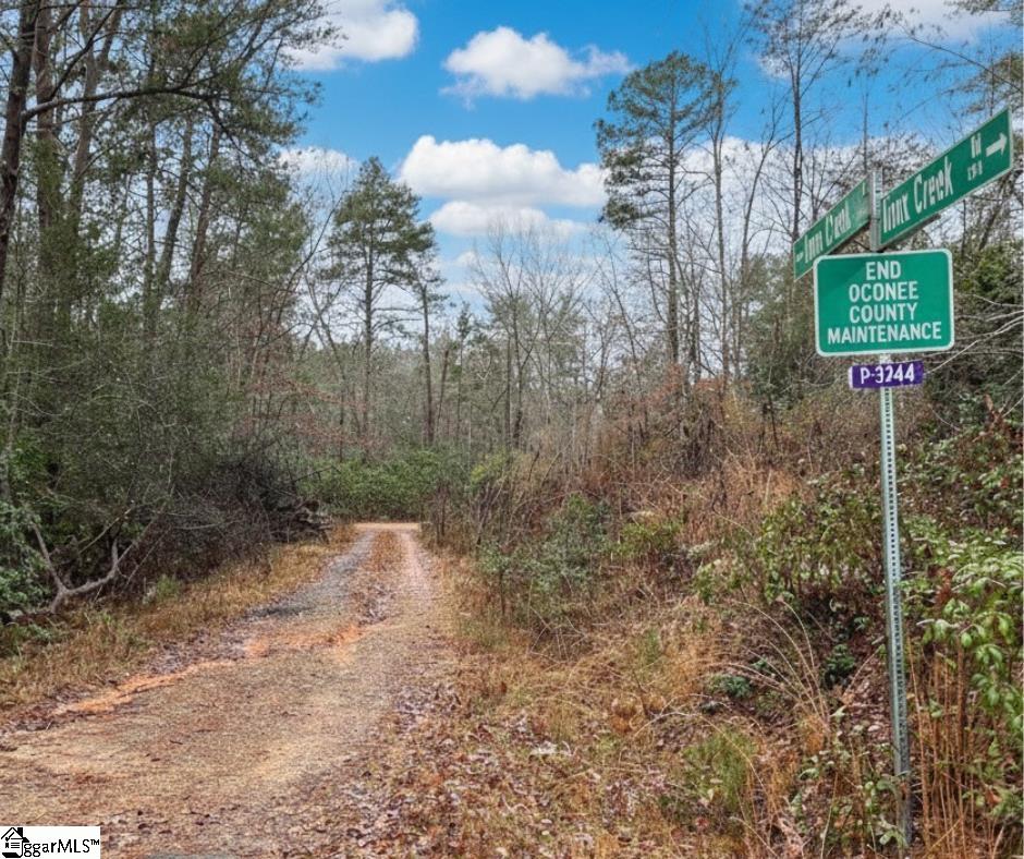 309 Knox Creek Road Tamassee, SC 29686 - Photo 3 of 5