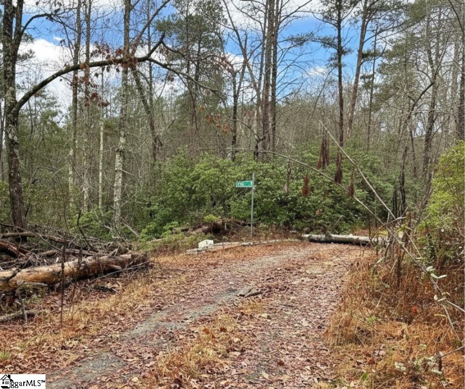 309 Knox Creek Road Tamassee, SC 29686 - Photo 4 of 5