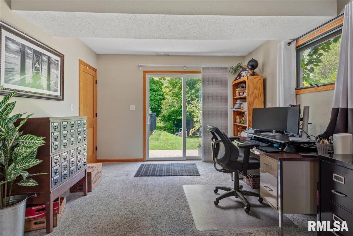 125 Wild Rose Lane Rochester, IL 62563 - Photo 28 of 42 Gallery Image 28
